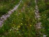 Seat Altea Freetrack: ������������ ��������� (Seat Altea Freetrack) - ���� 2